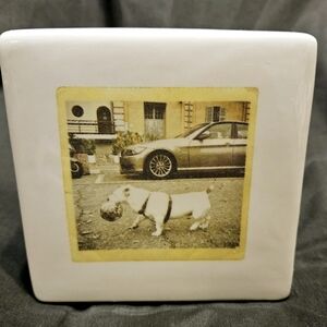 Rae Dunn Polaroid Dog “keep CALM and carry a ball.” Home Decor